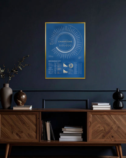 Birmingham City 2024/25: League One Champions