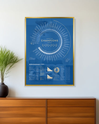 Birmingham City 2024/25: League One Champions