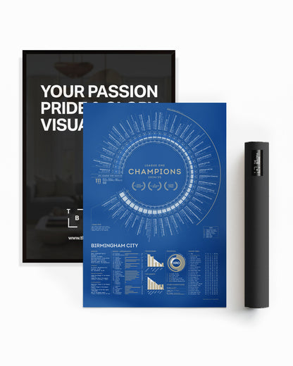 Birmingham City 2024/25: League One Champions