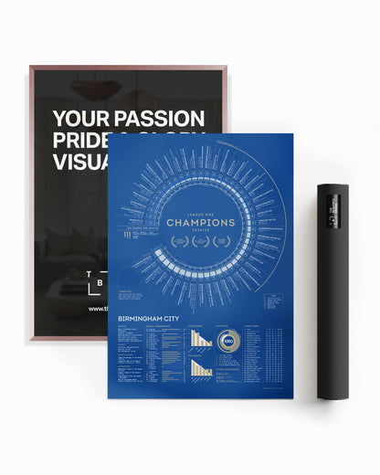 Birmingham City 2024/25: League One Champions