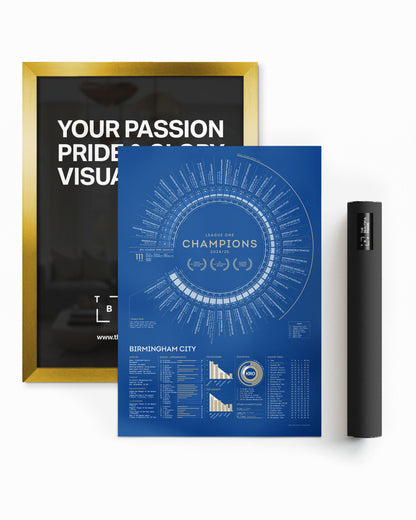 Birmingham City 2024/25: League One Champions