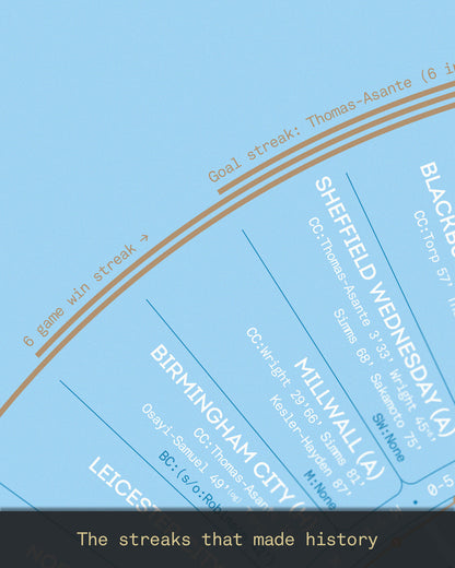 Coventry City 2025/26: Championship Champions Print