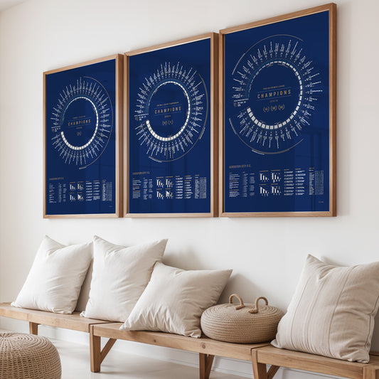 Leicester City: Champions Bundle (2009, 2014, 2016)
