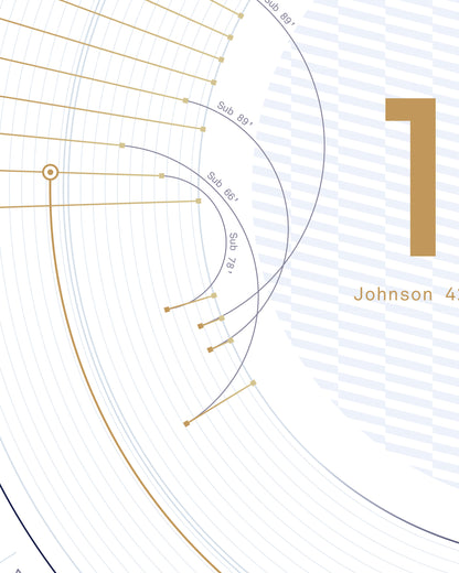 Tottenham Hotspur 2024/25: Europa League Champions Print